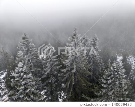 Silent trail beneath snowy branches. Gradual discovery along frosted path through misty wilderness Silent trail beneath snowy branches. Gradual discovery along frosted path through misty wilderness 140039483