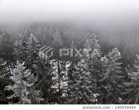 Quiet landscape of frosty evergreen woods. Serene view of evergreen trees with icy peaks in distance Quiet landscape of frosty evergreen woods. Serene view of evergreen trees with icy peaks in distance 140039484