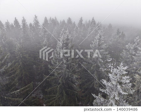 Closeup of frosted spruce needles showcasing detailed icy crystals and winter landscape features Closeup of frosted spruce needles showcasing detailed icy crystals and winter landscape features 140039486