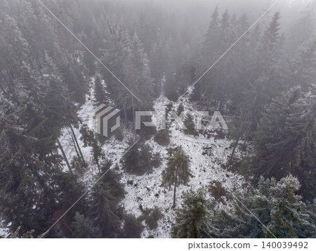 Silent winter forest scene featuring distant cloud cover and gentle luminous glow that induces calmness Silent winter forest scene featuring distant cloud cover and gentle luminous glow that induces calmness 140039492