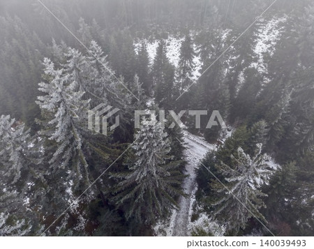 Frozen branches surround narrow icy pathway. Dense evergreen trees and icy boughs with misty atmosphere Frozen branches surround narrow icy pathway. Dense evergreen trees and icy boughs with misty atmosphere 140039493