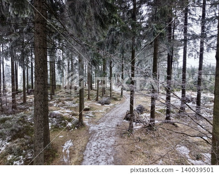 Paths unite amid peaceful woods. Several routes merge at forest junction with natural markings Paths unite amid peaceful woods. Several routes merge at forest junction with natural markings 140039501