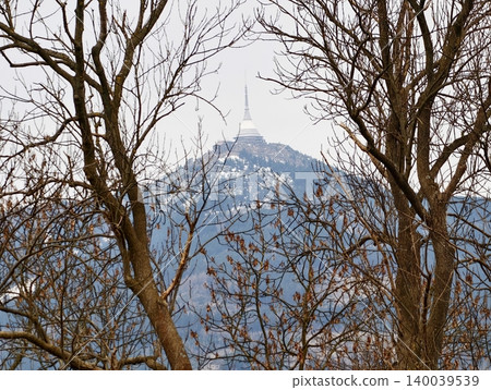 Winter haze frames cityscape. Distant snow and tree branches highlight urban connectivity story Winter haze frames cityscape. Distant snow and tree branches highlight urban connectivity story 140039539