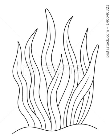 digital hand draw of sea weed underwater plants digital hand draw of sea weed underwater plants 140040323