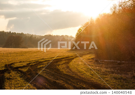 Golden field with prominent tire tracks winding towards a sun-drenched forest edge, beautifully bathed in warm, radiant light Golden field with prominent tire tracks winding towards a sun-drenched forest edge, beautifully bathed in warm, radiant light 140040548