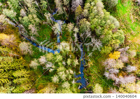 Winding stream through a dense, verdant forest from above. Lush green and yellow foliage, with some bare trees, evokes a rugged, untouched nature vista Winding stream through a dense, verdant forest from above. Lush green and yellow foliage, with some bare trees, evokes a rugged, untouched nature vista 140040604