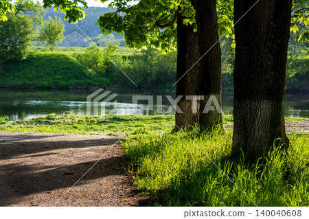 Sunlit tree trunks with lush green grass by a tranquil river, dappled light on a rustic path. Serene countryside view with a distant house Sunlit tree trunks with lush green grass by a tranquil river, dappled light on a rustic path. Serene countryside view with a distant house 140040608