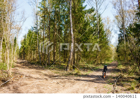 A rugged fat-tire e-bike stands at a forest path's fork, surrounded by lush trees under a clear sky. Adventure awaits on this sunny woodland trail A rugged fat-tire e-bike stands at a forest path's fork, surrounded by lush trees under a clear sky. Adventure awaits on this sunny woodland trail 140040611