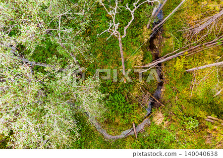 Drone shot captures a lush, wild forest with a snaking stream. Vibrant green trees, some bare, dot this untamed, tranquil natural habitat Drone shot captures a lush, wild forest with a snaking stream. Vibrant green trees, some bare, dot this untamed, tranquil natural habitat 140040638