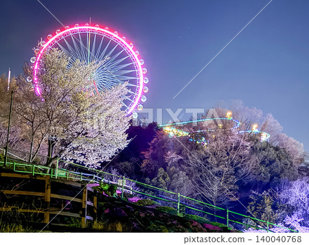 The fantastical nighttime cherry blossom illuminations and the glittering Ferris wheel of the amusement park The fantastical nighttime cherry blossom illuminations and the glittering Ferris wheel of the amusement park 140040768