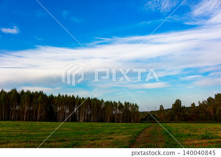 Verdant meadow with a rustic dirt trail snaking towards a dense treeline under a bright blue sky streaked with wispy clouds. Serene natural landscape Verdant meadow with a rustic dirt trail snaking towards a dense treeline under a bright blue sky streaked with wispy clouds. Serene natural landscape 140040845