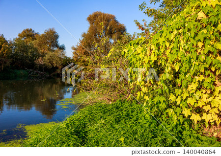 Serene river flows past lush green riverbanks and autumnal trees under a bright sky. An inviting, secluded spot perfect for quiet angling in nature Serene river flows past lush green riverbanks and autumnal trees under a bright sky. An inviting, secluded spot perfect for quiet angling in nature 140040864