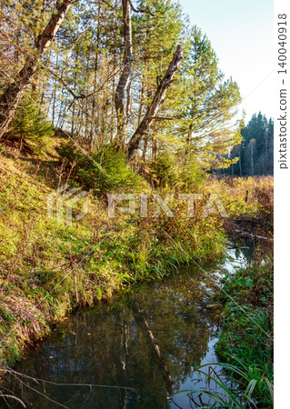 Tranquil creek meanders through vibrant autumn foliage and sun-dappled trees. A serene, unspoiled natural scene, reflecting clear skies and lush greenery Tranquil creek meanders through vibrant autumn foliage and sun-dappled trees. A serene, unspoiled natural scene, reflecting clear skies and lush greenery 140040918