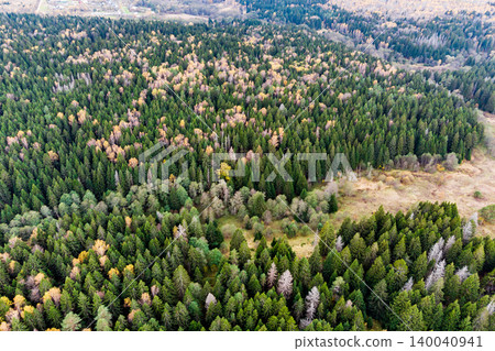 Aerial shot reveals a sprawling forest, a tapestry of lush green conifers and patches of vibrant golden and russet deciduous trees showcasing early autumn hues 140040941