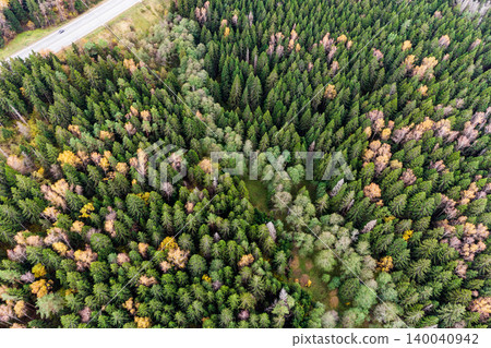 Bird's-eye shot of a sprawling mixed forest. Emerald conifers dominate, interspersed with splashes of golden fall color. A roadway fringes the leafy expanse Bird's-eye shot of a sprawling mixed forest. Emerald conifers dominate, interspersed with splashes of golden fall color. A roadway fringes the leafy expanse 140040942