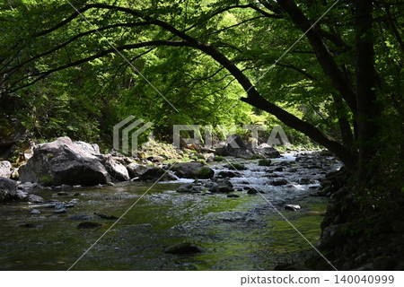 A truly luxurious moment: strolling through the beautiful Kinomata Park in a refreshing season. A truly luxurious moment: strolling through the beautiful Kinomata Park in a refreshing season. 140040999