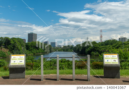 從北蒼花之丘公園的草地上眺望千葉新城。 從北蒼花之丘公園的草地上眺望千葉新城。 140041067