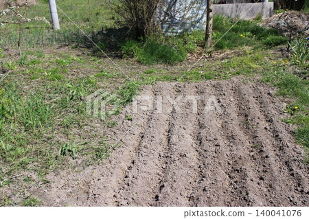 Plowed garden bed with furrows prepared for planting, surrounded by green grass and wildflowers in a rural outdoor setting under clear blue sky Plowed garden bed with furrows prepared for planting, surrounded by green grass and wildflowers in a rural outdoor setting under clear blue sky 140041076