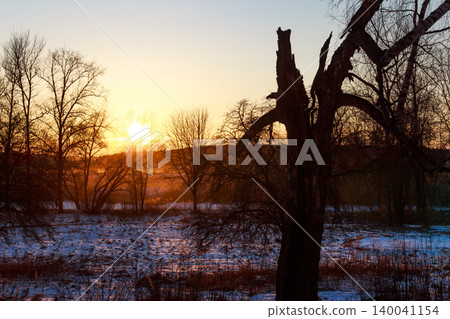 Stark, gnarled tree silhouette against a radiant golden sunset. Bare branches and a frosty field create a serene, rustic winter evening scene 140041154
