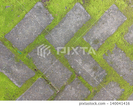 Weathered stones form a herringbone pattern. Moss blankets the gaps between each tile. Textures contrast: rough stone, soft green. Natural wear suggests age and exposure. 140041416