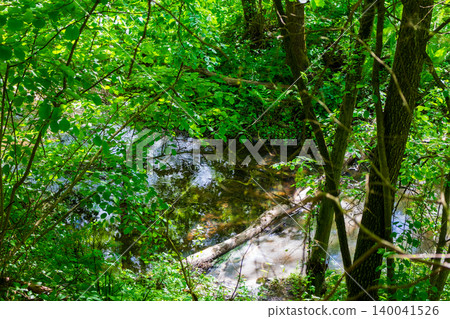 Crystal clear forest stream winding through lush green foliage and dense summer vegetation, featuring a rustic fallen log submerged in tranquil, sun-dappled woodland waters Crystal clear forest stream winding through lush green foliage and dense summer vegetation, featuring a rustic fallen log submerged in tranquil, sun-dappled woodland waters 140041526