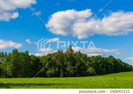 Lush green meadow edge bordering a vibrant deciduous forest under a bright blue May sky with fluffy white clouds, capturing the serene beauty of late spring landscape scenery Lush green meadow edge bordering a vibrant deciduous forest under a bright blue May sky with fluffy white clouds, capturing the serene beauty of late spring landscape scenery 140041531