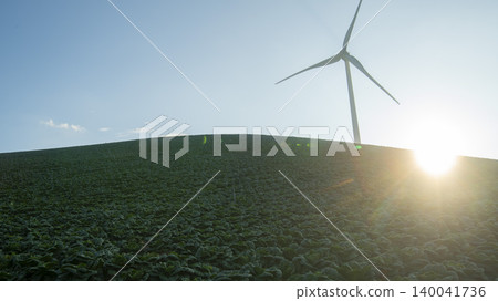 Anbandegi 140041736