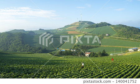 Anbandegi Anbandegi 140041752