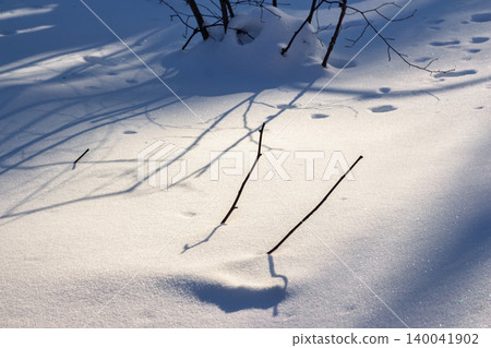 Bright winter snowfield with sharp shadows from bare branches on a sunny day, showcasing texture and contrast Bright winter snowfield with sharp shadows from bare branches on a sunny day, showcasing texture and contrast 140041902