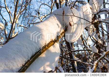 Thick white snow blankets a tree branch bathed in warm sunlight against a bright blue winter sky Thick white snow blankets a tree branch bathed in warm sunlight against a bright blue winter sky 140041904