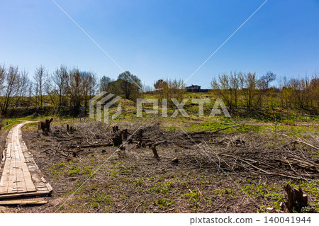 Rustic wooden boardwalk winding through a cleared field with cut branches and young trees under a bright blue sky in the countryside 140041944