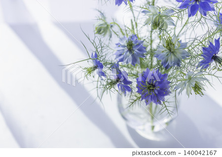 藍色的黑種草花和玻璃花瓶:初夏清新的室內裝潢。 藍色的黑種草花和玻璃花瓶:初夏清新的室內裝潢。 140042167