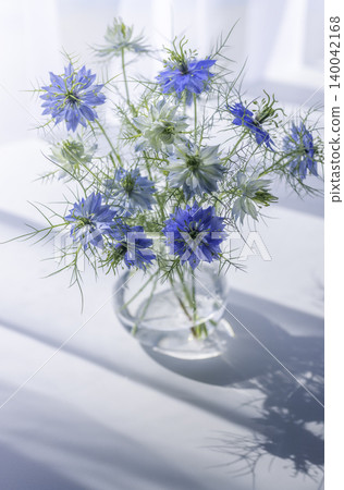 A bouquet of blue nigella flowers and a life filled with light. (Copy space) 140042168