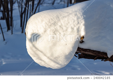 Thick blanket of brilliant white snow capping a dark log, catching bright winter sunshine with subtle shadows Thick blanket of brilliant white snow capping a dark log, catching bright winter sunshine with subtle shadows 140042185