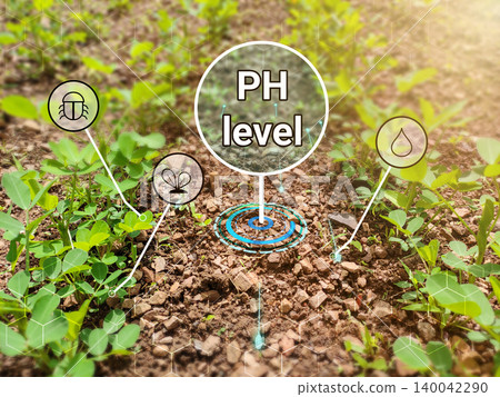 plant, green, level 140042290