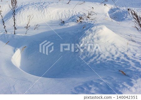 Mesmerizing pristine snow field with sculpted drifts and gentle shadows under bright winter sun. Sparse dry plants add subtle contrast to the white blanket Mesmerizing pristine snow field with sculpted drifts and gentle shadows under bright winter sun. Sparse dry plants add subtle contrast to the white blanket 140042351