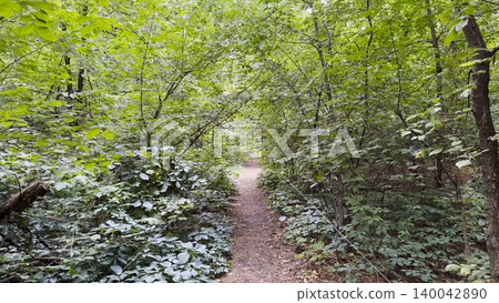 Camera moving on narrow forest trail surrounded by tall trees in the warmth of summer. The scene conveys immersion, tranquility and the refreshing atmosphere of woodland nature. Slow motion Camera moving on narrow forest trail surrounded by tall trees in the warmth of summer. The scene conveys immersion, tranquility and the refreshing atmosphere of woodland nature. Slow motion 140042890
