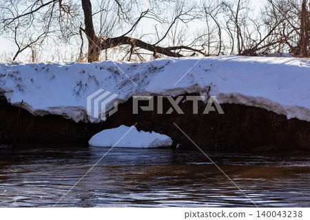 Melting spring snow sliding from a steep earthen riverbank into the dark stream waters during a sunny March thaw with bare trees in the background under clear blue sky 140043238