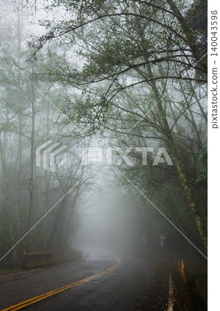 Curving Misty Road Through Silent Forest Curving Misty Road Through Silent Forest 140043598