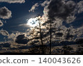 Dramatic silhouette of two bare trees against a bright, sun-veiled sky with dark, brooding clouds, springtime mood light play 140043626