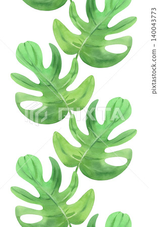 Seamless vertical border of a monstera leaves. Watercolor illustration. Handmade art work. For packaging design, cards, cover, prints, product labels and fabric Seamless vertical border of a monstera leaves. Watercolor illustration. Handmade art work. For packaging design, cards, cover, prints, product labels and fabric 140043773