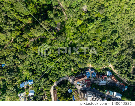 Top view forest green nature background 140043825
