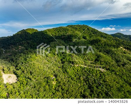 Top view forest green nature background Top view forest green nature background 140043826
