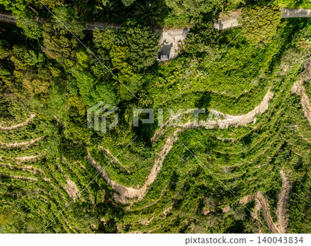 Top view forest green nature background 140043834