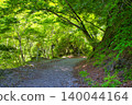[Kanagawa Prefecture] Hiking course from Kurokura Forest Road to Yushin Valley 140044164