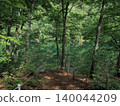 Lake in the forest 140044209