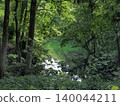 A lake nestled in a green forest 140044211