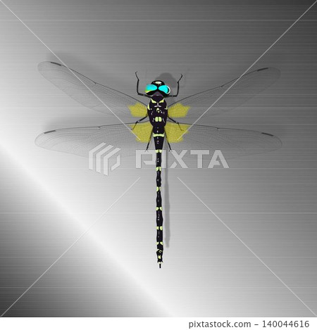 Detailed illustration of the giant dragonfly and stainless steel hairline background illustration 140044616