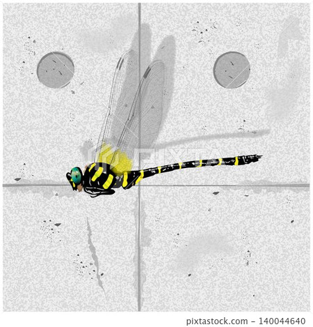 蜻蜓(Anax imperator)的詳細插圖和裸露混凝土的插圖。 蜻蜓(Anax imperator)的詳細插圖和裸露混凝土的插圖。 140044640