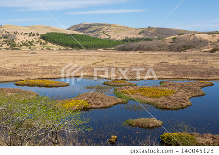 Kirigamine in May: The clear surface of Yashima Pond and the floating islands in the wetland (close-up view) 140045123